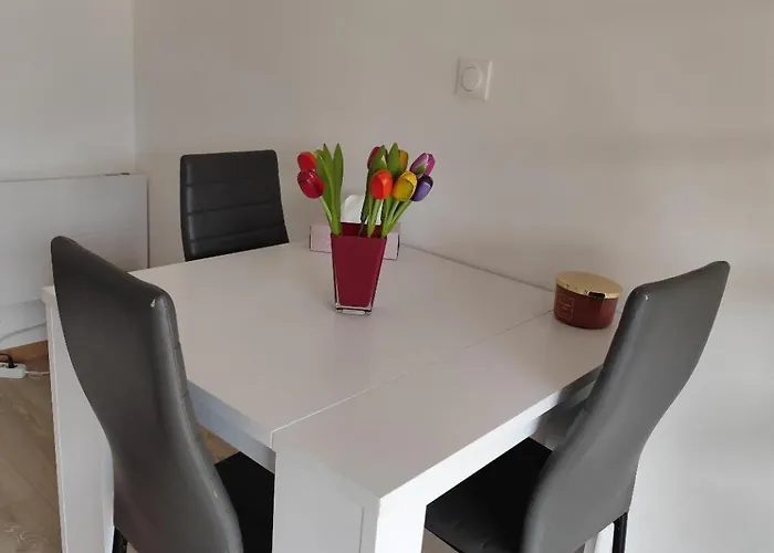 Studio Garden Parking Airport Eurexpo Groupama Stadium