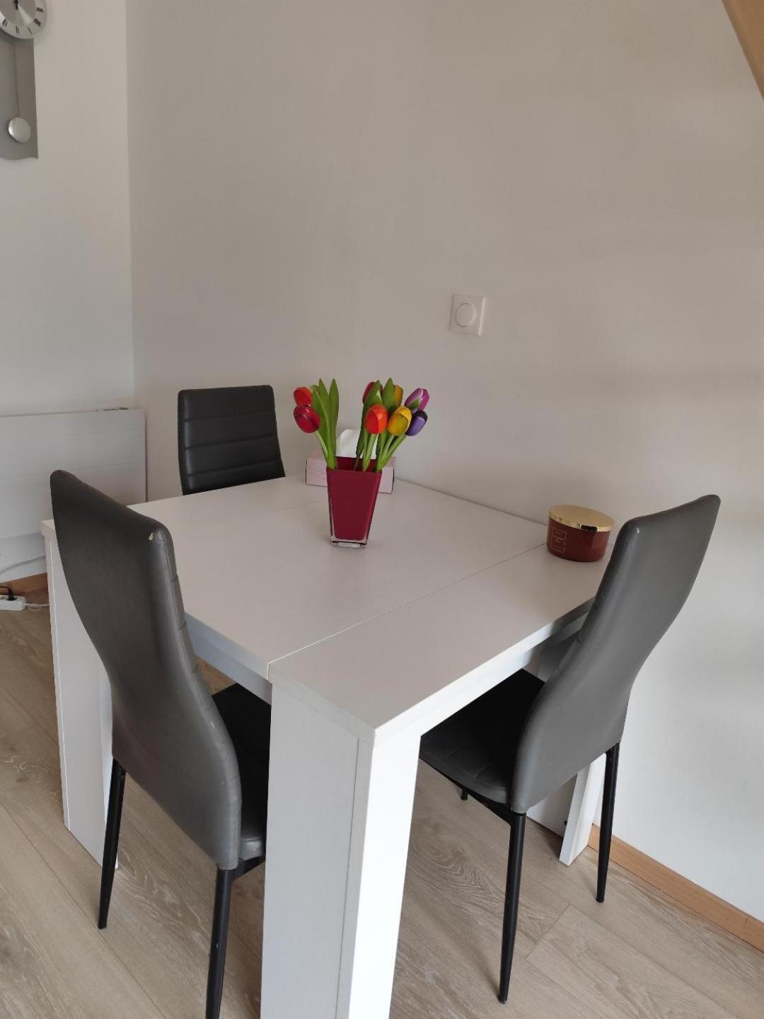 Apartment Garden Parking Airport Eurexpo Groupama Stadium